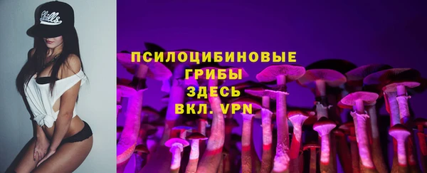 MDMA Premium VHQ Заводоуковск